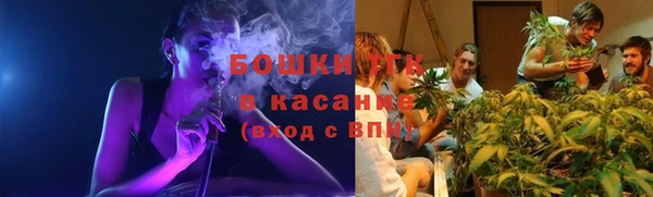 ПСИЛОЦИБИНОВЫЕ ГРИБЫ Алексеевка