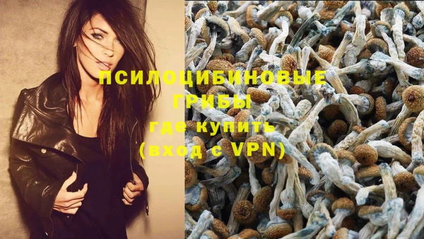 герыч Алексин