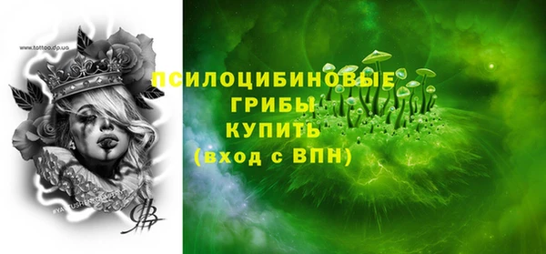 ПСИЛОЦИБИНОВЫЕ ГРИБЫ Алексеевка