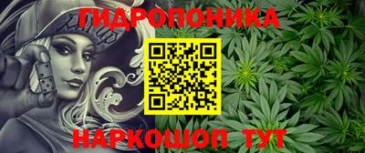 apvp Чапаевск