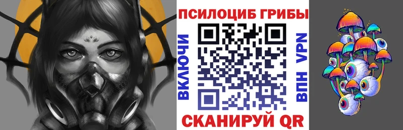 нарко площадка состав  Асино  Галлюциногенные грибы Cubensis 
