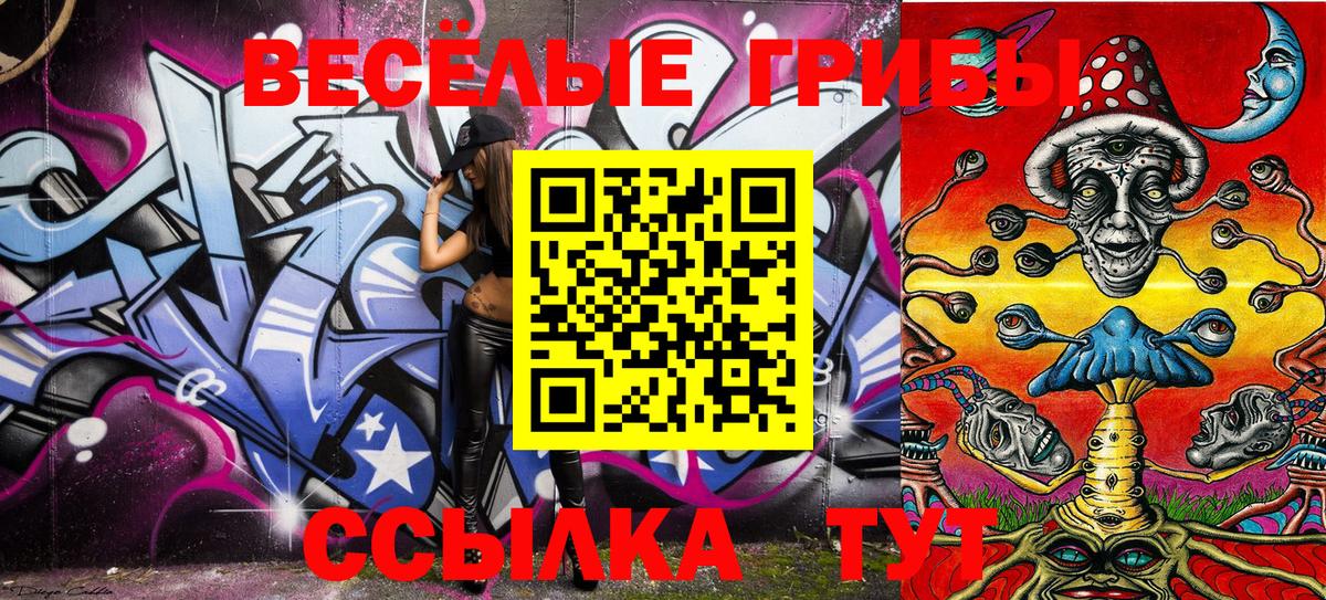 Галлюциногенные грибы Psilocybe Асино
