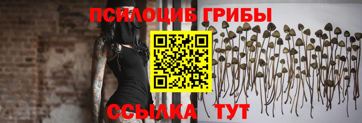 Галлюциногенные грибы ЛСД  дарнет шоп  Асино  Вход с VPN 